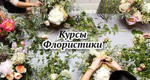 обучение бизнесу для сильных обучение бизнесу для сильных