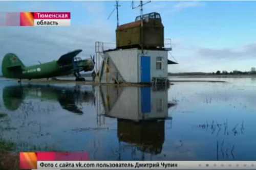 видео счастливый брак и сезоны семьи видео счастливый брак и сезоны семьи